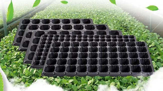 Plastic Seedling Tray Machinery